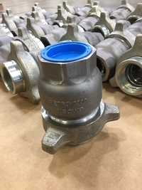 Union Check valve pict